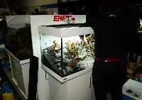 Aquascaping 250 liter