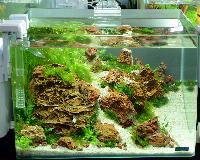 Aquascaping 35 liter