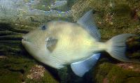 Lanzarote Aquarium