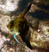 Lanzarote Aquarium