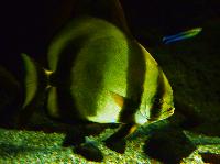 Lanzarote Aquarium