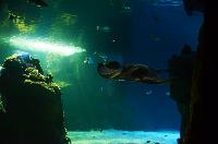Lanzarote Aquarium