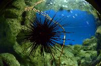 Lanzarote Aquarium