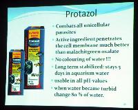 Föredrag.Lördag.Dieter Untergasser.Discus Health.