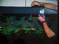 A_L_rdag_Andreas_Spreinat_Dive_sites_at_the_westc_oast_DSC_0236.jpg