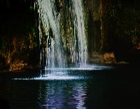 A_L_rdag_Willem_Heijns_Cichlids_in_Central_America_DSC_0316.jpg