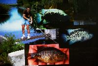 Lördag. Willem Heijns. Cichlids in Centralamerica.