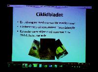 Lördag. NCS
