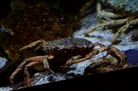 Bristol Aquarium, England