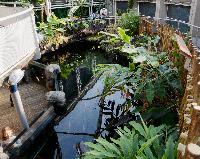 Bristol Aquarium, England