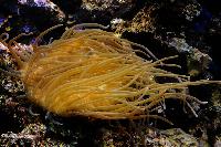 Bristol Aquarium, England