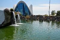 Oceanografic, Valencia, Spanien.