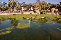 Oceanografic, Valencia, Spanien.