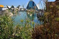 Oceanografic, Valencia, Spanien