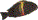 Burundimoorii