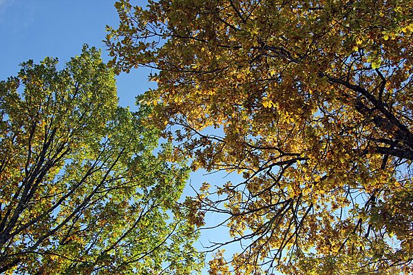 Klicka på bilden för större version

Namn: IMG_7939.JPG
Visningar: 159
Storlek: 1,16 MB
ID: 2373434