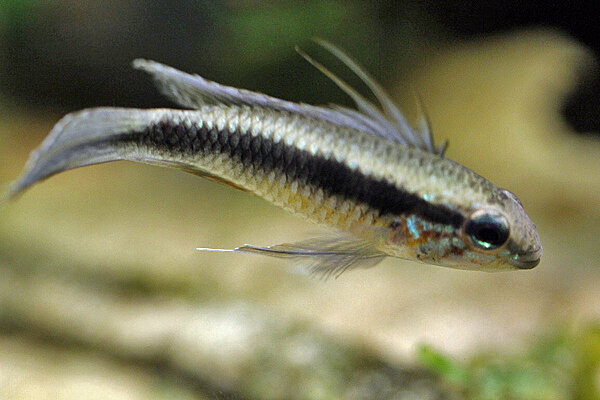 Klicka på bilden för större version

Namn: IMG_9495.JPG
Visningar: 199
Storlek: 117,0 KB
ID: 2396537