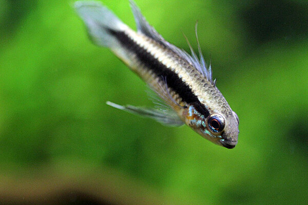 Klicka på bilden för större version

Namn: IMG_9489.JPG
Visningar: 204
Storlek: 114,2 KB
ID: 2396538
