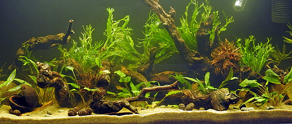 Klicka på bilden för större version

Namn: DSCN2737.JPG
Visningar: 177
Storlek: 464,3 KB
ID: 2397092