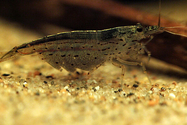 Klicka på bilden för större version

Namn: IMG_9634.JPG
Visningar: 220
Storlek: 143,1 KB
ID: 2398571