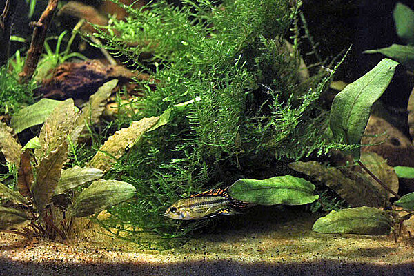 Klicka på bilden för större version

Namn: IMG_9863.JPG
Visningar: 282
Storlek: 140,7 KB
ID: 2404176