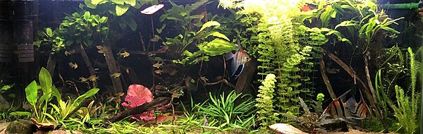 Click image for larger version

Name:	3D0C46B7-57C2-4AEB-86C9-9192DA3589E7.jpeg
Views:	181
Size:	354.3 KB
ID:	2412935