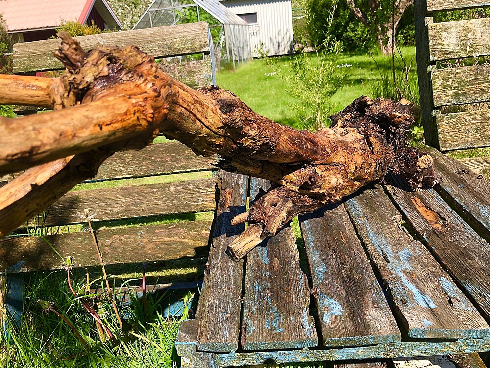 Klicka på bilden för större version

Namn: IMG_0177.jpg
Visningar: 169
Storlek: 1,10 MB
ID: 2418032