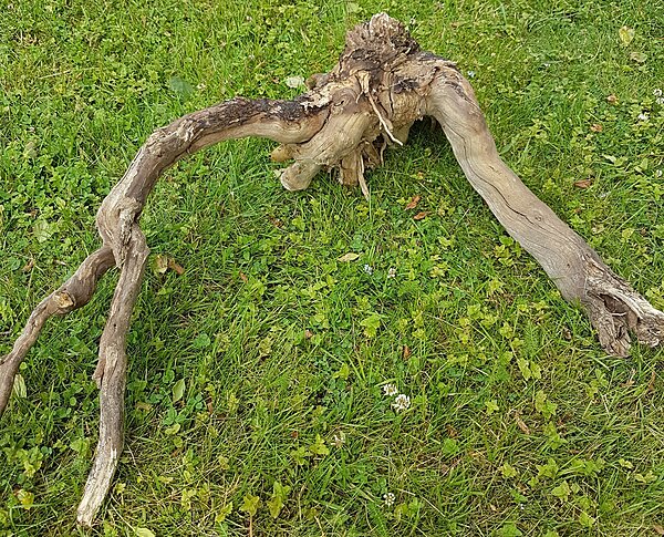Klicka på bilden för större version

Namn: 20200712_201055.jpg
Visningar: 174
Storlek: 1,39 MB
ID: 2419747