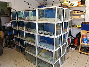Klicka på bilden för större storlek  Namn:	        8.jpg Visningar:	1 Storlek:	555.2 kB ID:     	2390897