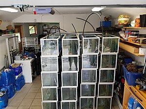 Klicka på bilden för större storlek  Namn:	        9.jpg Visningar:	1 Storlek:	582.2 kB ID:     	2390898