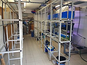 Klicka på bilden för större storlek  Namn:	        7.jpg Visningar:	1 Storlek:	532.7 kB ID:     	2390913