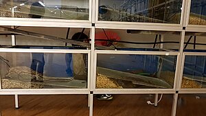 Klicka på bilden för större storlek  Namn:	        1.jpg Visningar:	1 Storlek:	316.0 kB ID:     	2390891