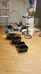 Klicka på bilden för större storlek  Namn:	        5.jpg Visningar:	1 Storlek:	359.8 kB ID:     	2390894