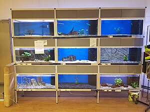 Klicka på bilden för större storlek  Namn:	        20180517_194137.jpg Visningar:	2 Storlek:	461.2 kB ID:     	2390888