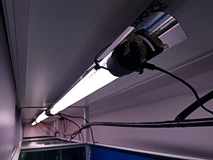 Klicka på bilden för större storlek  Namn:	        Ljusrör.jpg Visningar:	1 Storlek:	250.8 kB ID:     	2390926