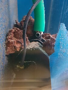 Klicka på bilden för större storlek  Namn:	        Filtermatta_Pump_Lavastem.jpg Visningar:	1 Storlek:	274.5 kB ID:     	2390928