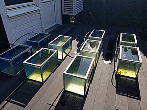 Klicka på bilden för större storlek  Namn:	        20180826_155137.jpg Visningar:	1 Storlek:	490.6 kB ID:     	2390935
