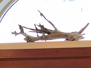 Klicka på bilden för större storlek  Namn:	        DAE2CD68-6917-4E02-B8C1-71D69269B85A.jpeg Visningar:	1 Storlek:	193.2 kB ID:     	2378539