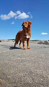 Klicka på bilden för större version

Namn: 20150725_123130.jpg
Visningar: 145
Storlek: 478,2 KB
ID: 2361826