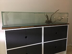 Klicka på bilden för större storlek  Namn:	         Visningar:	1 Storlek:	117.4 kB ID:     	2363398