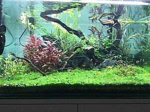 Klicka på bilden för större storlek Namn:	 Visningar:	1 Storlek:	297.9 kB ID: 	2363606