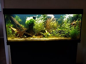 Klicka på bilden för större version

Namn: 240 liters .jpg
Visningar: 315
Storlek: 416,4 KB
ID: 2384841