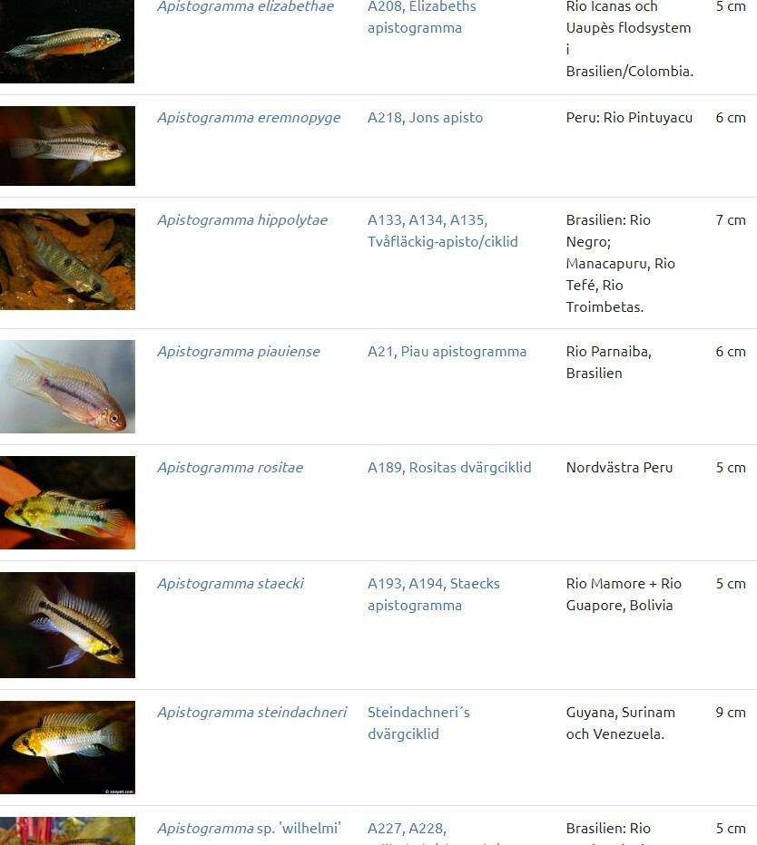 Klicka på bilden för större version

Namn: Apisto.jpg
Visningar: 452
Storlek: 113,2 KB
ID: 2434444