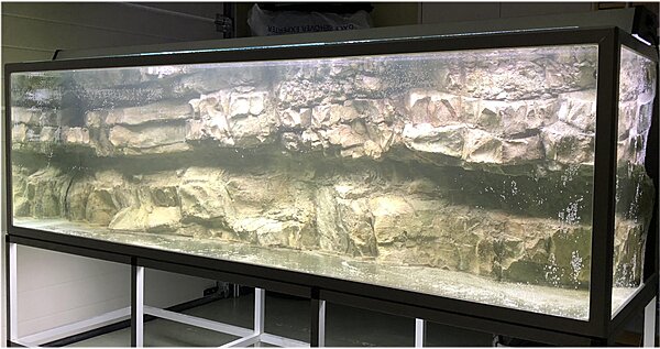 Klicka på bilden för större version

Namn: Akvarium Rockzolid.jpg
Visningar: 1411
Storlek: 380,6 KB
ID: 2378343