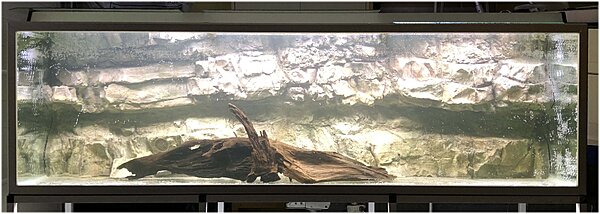 Klicka på bilden för större storlek  Namn:	        rötter10.jpg Visningar:	1 Storlek:	273.4 kB ID:     	2378470