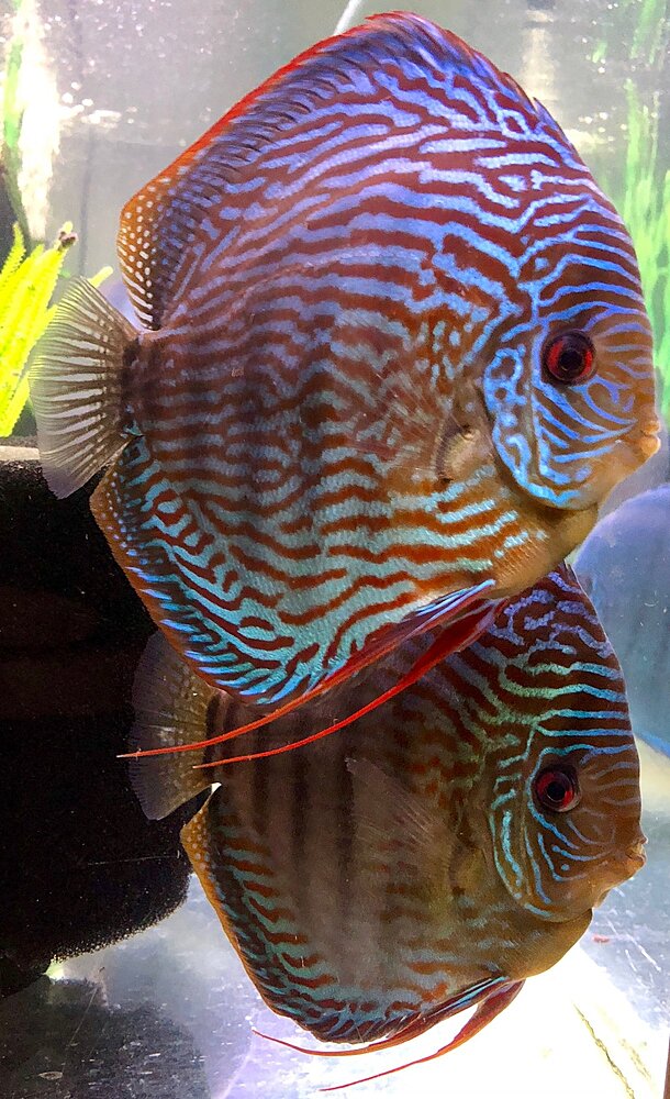 Klicka på bilden för större version

Namn: IMG_0633.JPG
Visningar: 180
Storlek: 480,5 KB
ID: 2397401