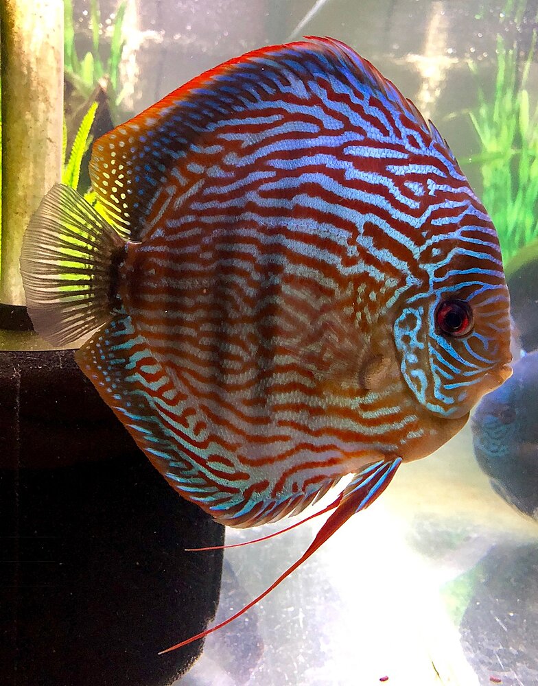 Klicka på bilden för större version

Namn: IMG_0634.JPG
Visningar: 191
Storlek: 557,1 KB
ID: 2397403