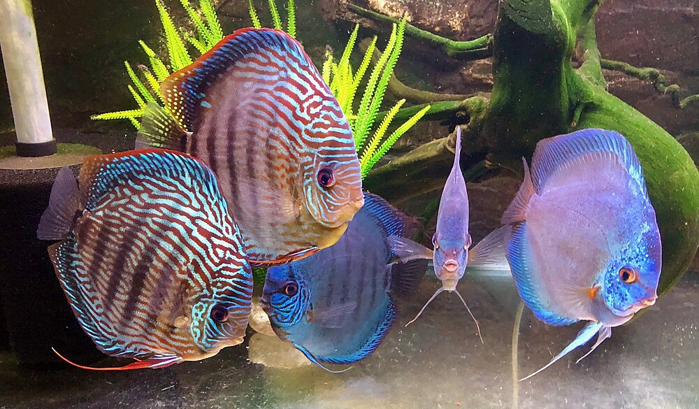 Klicka på bilden för större version

Namn: IMG_0631.JPG
Visningar: 168
Storlek: 516,2 KB
ID: 2397408