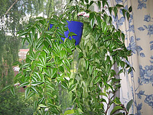 Klicka på bilden för större version

Namn: IMG_4342.jpg
Visningar: 185
Storlek: 68,2 KB
ID: 2091219