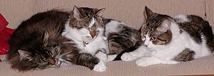 050116-07.jpg